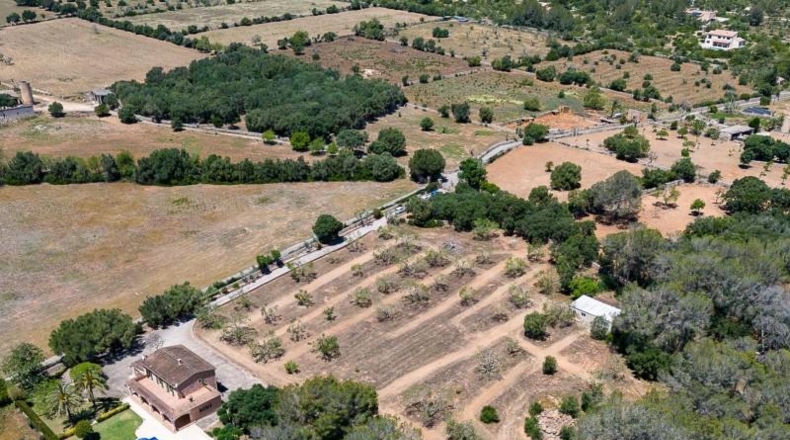 Illes Balears - Algaida - 15754m2