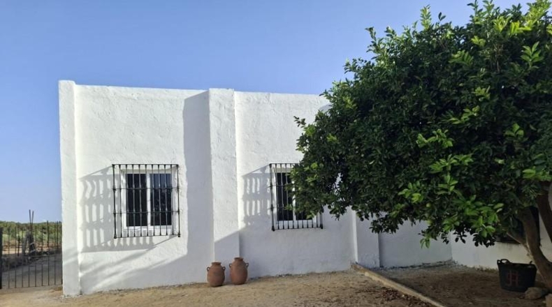 Cádiz - Chiclana de la Frontera - 200000m2