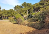 Chalet independiente con terreno en venta en la España, Begur, ref: TR155960 foto