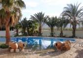 Chalet independiente con terreno en venta en la España, Ondara, ref: TR240561 foto