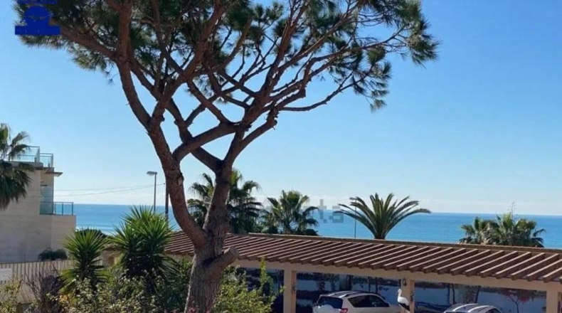 Cadiz - Chiclana de la Frontera - 1300m2