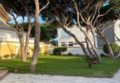 Chalet independiente con terreno en venta en la España, Chiclana de la Frontera, ref: TR179699 foto