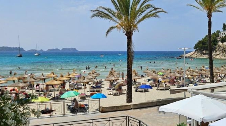 Balearic Islands - Calvià - 1182m2