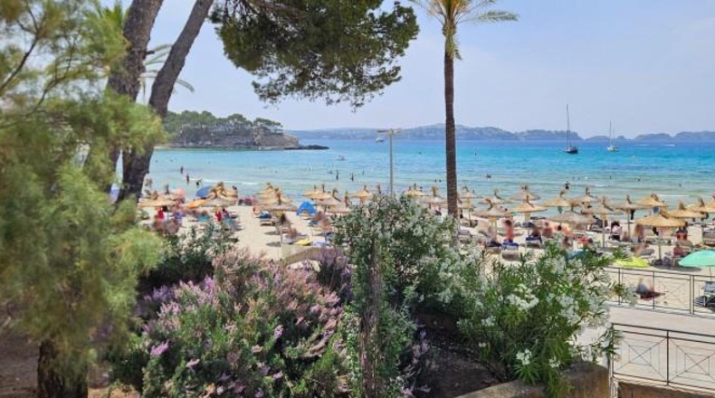 Balearic Islands - Calvià - 1182m2