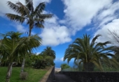 Chalet independiente con terreno en venta en la España, San Juan de la Rambla, ref: TR320000 foto