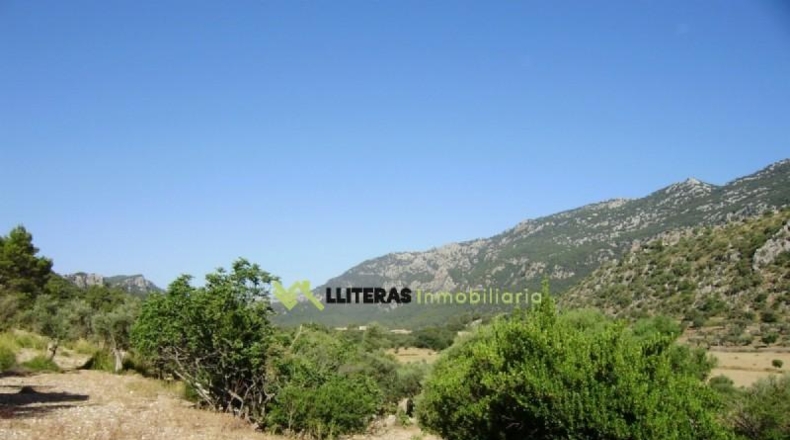 Islas Baleares - Bunyola - 174800m2