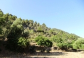 Xalet independent amb terreny en venda a la España, Bunyola, ref.: TR136045 foto