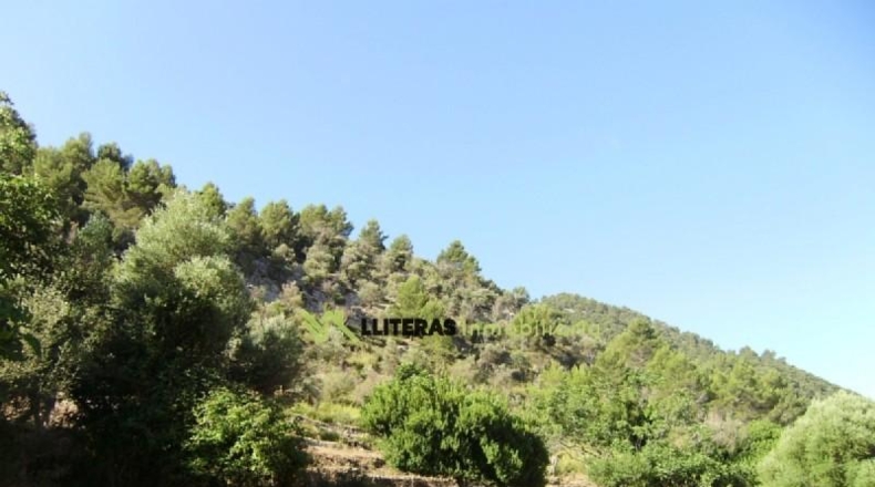 Islas Baleares - Bunyola - 174800m2