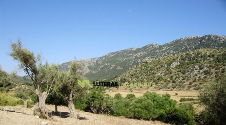 Islas Baleares - Bunyola - 174800m2