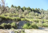 Xalet independent amb terreny en venda a la España, Bunyola, ref.: TR136045 foto