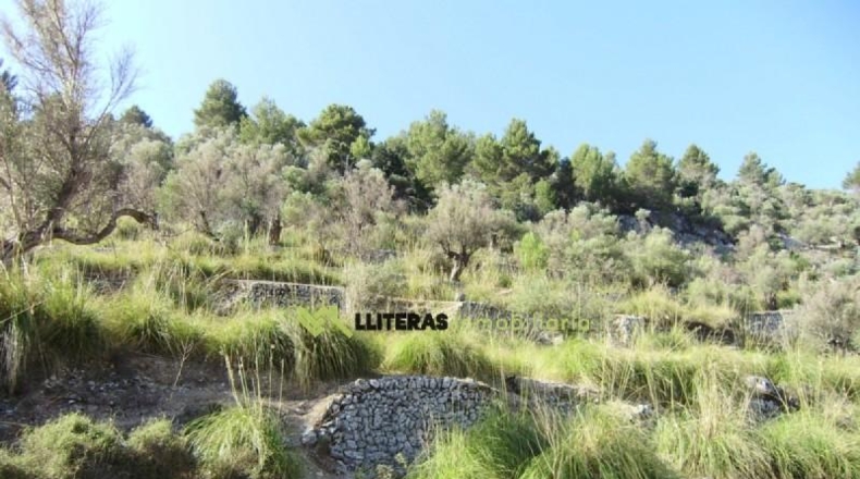 Islas Baleares - Bunyola - 174800m2