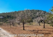 Chalet independiente con terreno en venta en la España, Felanitx, ref: TR137975 foto
