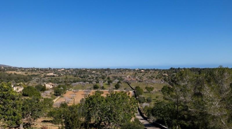 Islas Baleares - Felanitx - 17500m2