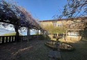 Chalet independiente con terreno en venta en la España, Redondela, ref: TR402175 foto