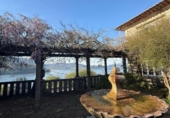 Chalet independiente con terreno en venta en la España, Redondela, ref: TR402175 foto