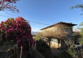 Chalet independiente con terreno en venta en la España, Redondela, ref: TR402175 foto