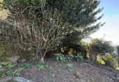 Chalet independiente con terreno en venta en la España, Redondela, ref: TR402175 foto