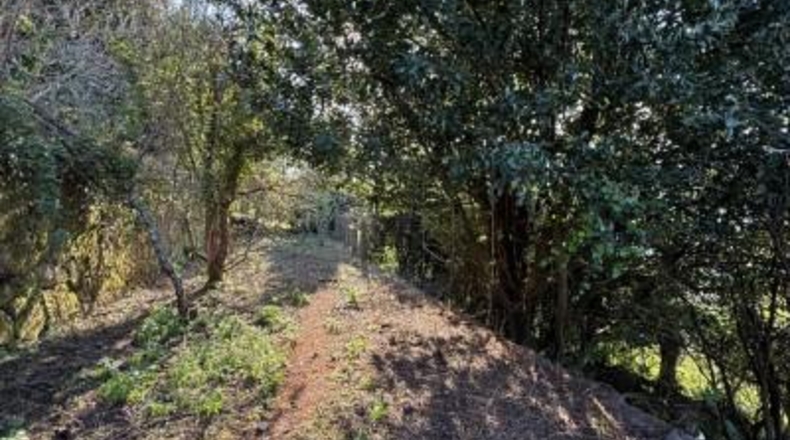 Pontevedra - Redondela - 5511m2