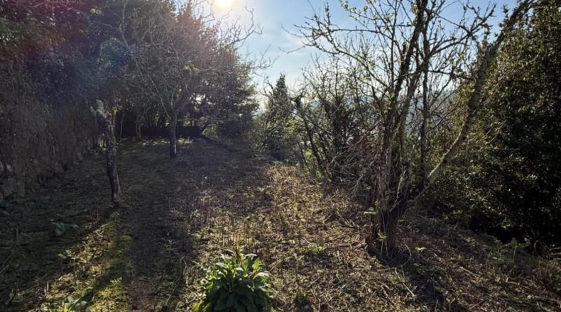 Pontevedra - Redondela - 5511m2