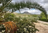 Chalet independiente con terreno en venta en la España, Caravaca de la Cruz, ref: TR173173 foto