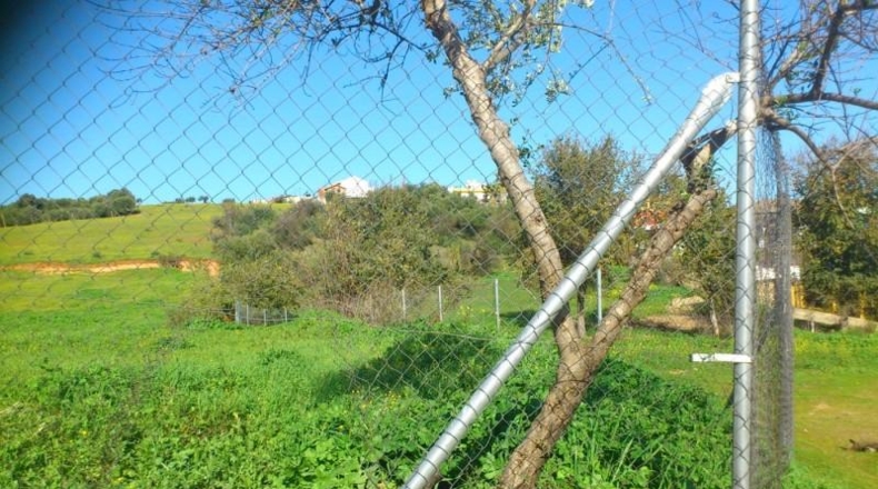 Córdoba - Almodóvar del Río - 40000m2