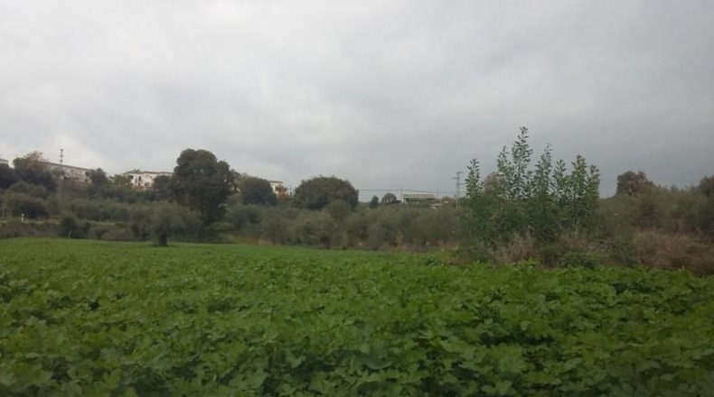 Córdoba - Almodóvar del Río - 40000m2