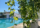Chalet independiente con terreno en venta en la España, Beniarjó, ref: TR264272 foto