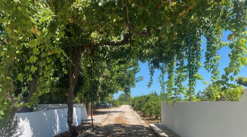 Valencia - Beniarjó - 20590m2