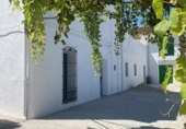 Chalet independiente con terreno en venta en la España, Beniarjó, ref: TR264272 foto