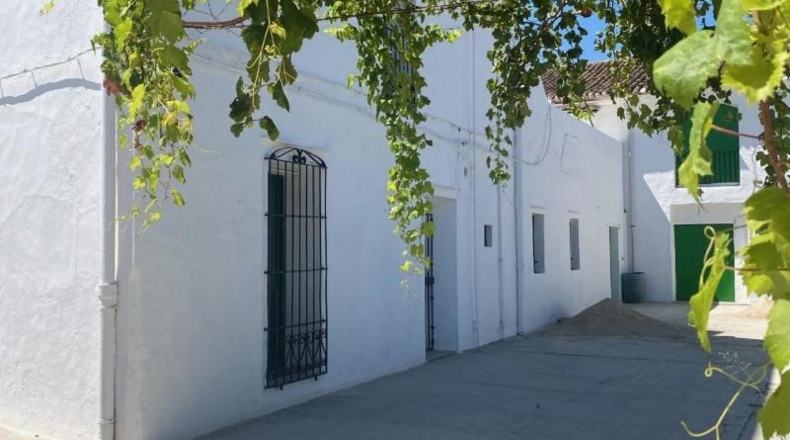 Valencia - Beniarjó - 20590m2