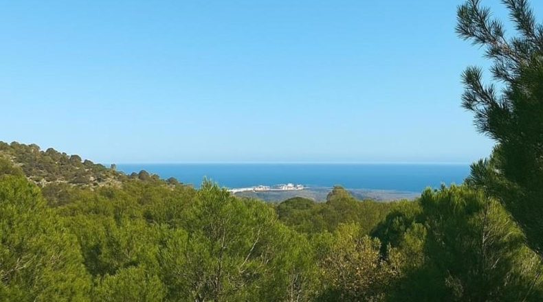 Alicante - Callosa de Ensarriá - 29935m2