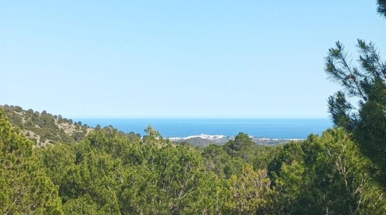 Alicante - Callosa de Ensarriá - 29935m2