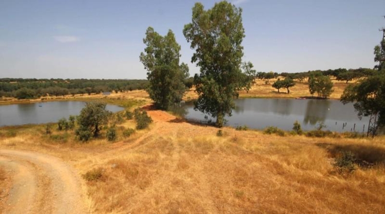 Cáceres - Alcuéscar - 658561m2