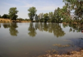 Chalet independiente con terreno en venta en la España, Alcuéscar, ref: TR264266 foto