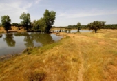 Chalet independiente con terreno en venta en la España, Alcuéscar, ref: TR264266 foto