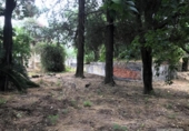 Casa con terreno en venta en la España, Córdoba, ref: TR398408 foto