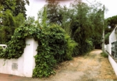 Casa con terreno en venta en la España, Córdoba, ref: TR398408 foto