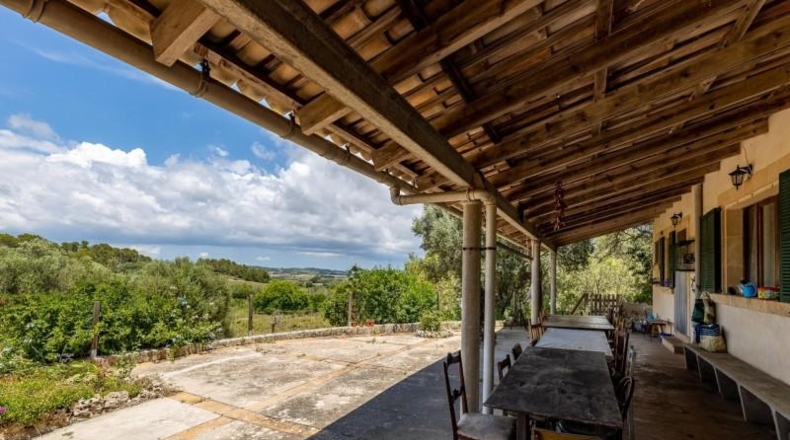 Valencia - Albaida - 121000m2