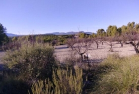 Foto 14