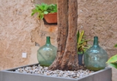 Detached villa with land for sale on España, Artà, ref: TR358611 photo