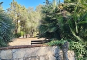 Casa de campo con terreno en venta en la España, Olivella, ref: TR138576 foto