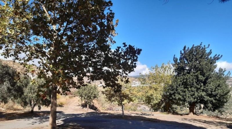 Granada - Ugíjar - 200m2