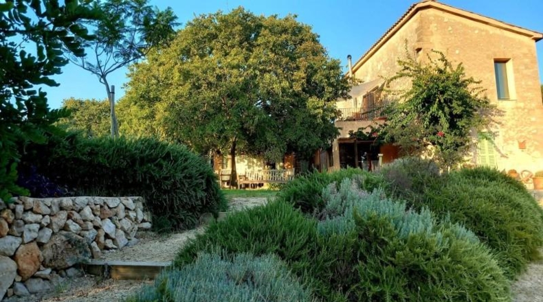 Balearic Islands - Palma - 4345m2