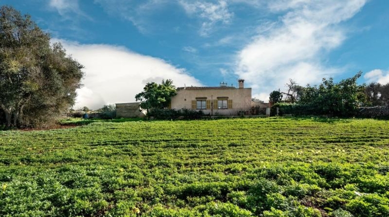 Islas Baleares - Campos - 64085m2