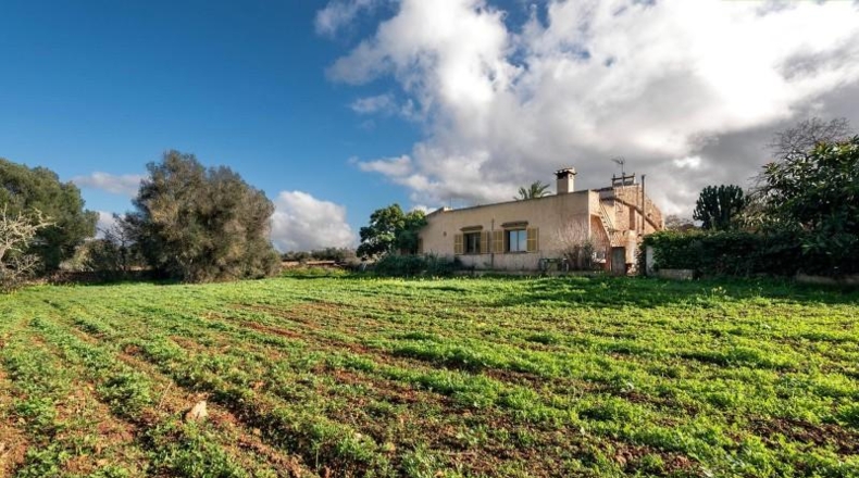 Islas Baleares - Campos - 64085m2