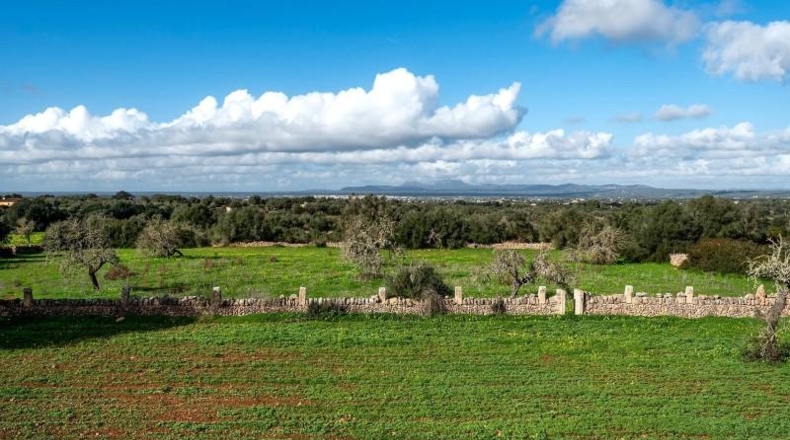 Islas Baleares - Campos - 64085m2