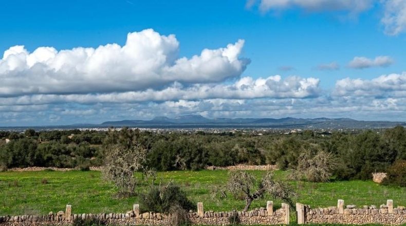 Islas Baleares - Campos - 64085m2