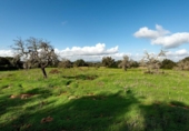 Casa de campo con terreno en venta en la España, Campos, ref: TR369708 foto