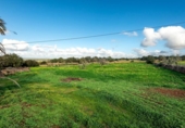 Casa de campo con terreno en venta en la España, Campos, ref: TR369708 foto
