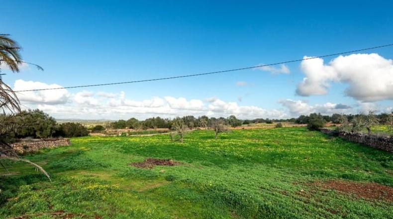 Islas Baleares - Campos - 64085m2